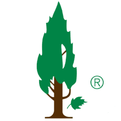 logo-topol-banner